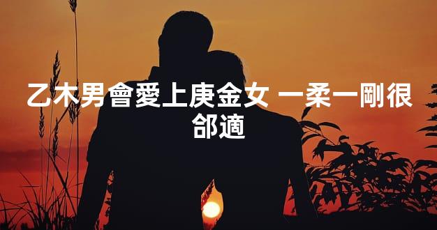 乙木男會愛上庚金女 一柔一剛很郃適